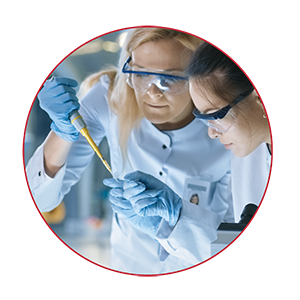 발전을 위한 길을 닦다