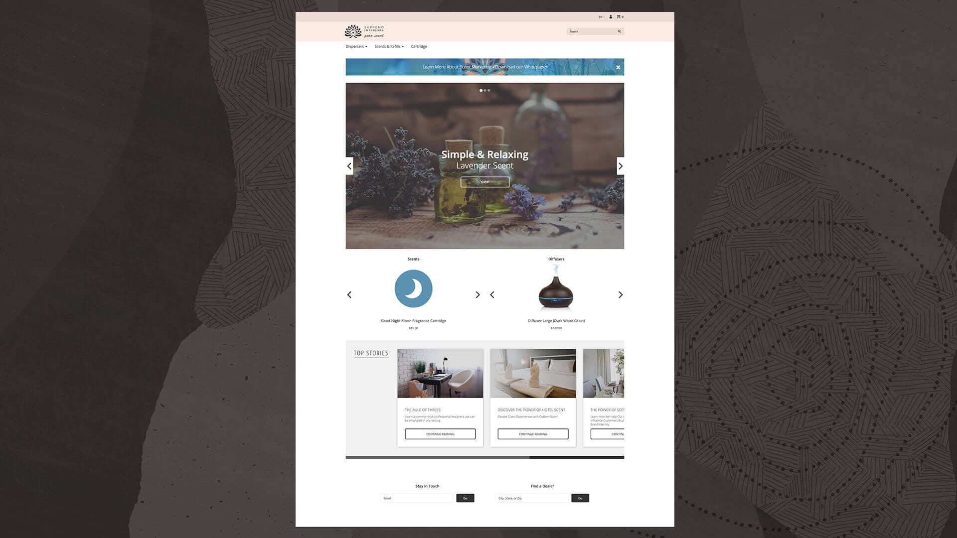 Online store website landing page