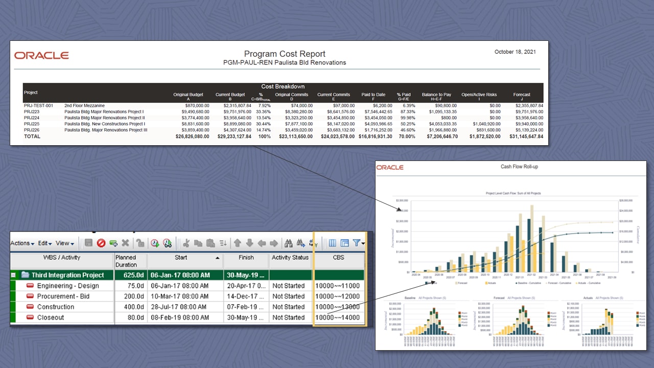 program cost report image