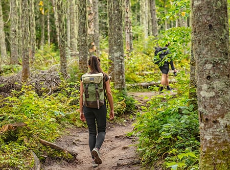 deloitte-développement durable-transformation